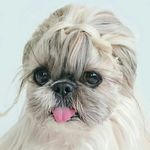linda - @linda_bonesova - Instagram