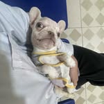 Kênh của Bột - @linda_bootj - Instagram
