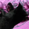 Linda_Border - @Linda_Border - TikTok