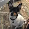 Linda Border - @linda.border - TikTok