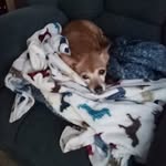 Linda Border Spernyak - @spernyaklinda - Instagram