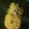 Linda Botello - @lindabotellolpez - TikTok