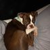 Linda Bourget - Facebook
