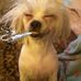 Linda Branton - Facebook