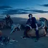 Linda Brodeur - @lindabrodeur119 - TikTok