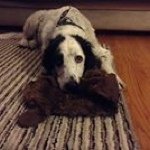 Linda Budd - @cownut13 - Instagram