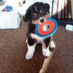 Linda Budd - @linda.budd.378 - Instagram