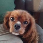 Linda Budd - @salty867 - Instagram