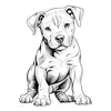 linda cachorra pitbul - @lindacachorrapitbul - TikTok