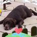 Linda Caley - Facebook