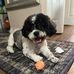 Linda Callison-Pignato - Facebook