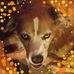 Linda Tucker Caylor - Facebook
