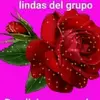 Linda Cerna - @princesa4600 - TikTok