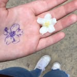 Linda Černá - @lindapetale - Instagram