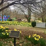 Linda Chenault - @lindalarrychenault - Instagram