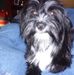 Linda Chenault - Facebook