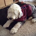 Linda Christopherson - @lindachristopherson15 - Instagram