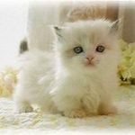 Linda Christopherson - @lindachristopherson - Instagram