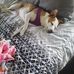 Linda Clapper - Facebook