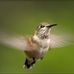 Linda Cluff - Facebook