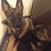 Linda Constable - Facebook