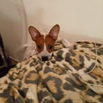 Narinda Walker - @lindaconstable - Instagram