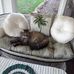 Linda Croll - Facebook