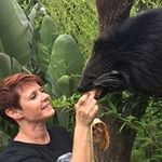 linda cusack - @cusack_linda - Instagram