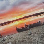 Linda Cusack - @lindacus99 - Instagram