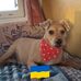 Linda Cuthbert - Facebook