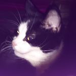 Linda Cuthbert - @lilythepink77 - Instagram