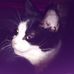 Linda Cuthbert - Facebook