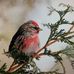 Linda Cuthbert - Facebook