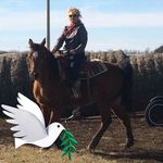 Linda J Cuthbertson - @linda.cuthbertson.58 - Instagram