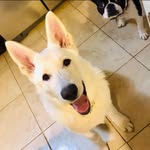 Linda Mabry Dacus - @lindadacus4 - Instagram