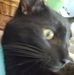 Linda Danner - Facebook