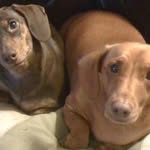 Linda Janie Marcum Denmark - @ldenmark112 - Instagram