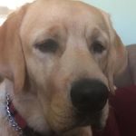 Linda Derry - @linda.derry.14 - Instagram