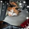 Linda Devaney912 - @lindadevaney2021 - TikTok