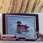 Linda Devoe - @linda.devoe.9 - Instagram