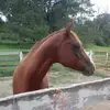Linda Devoe - @linda.devoe20 - TikTok