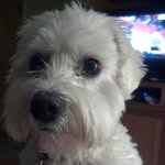 Linda DeYoung - @linda.deyoung1 - Instagram