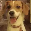 lindadeyo2 - @lindadeyo2 - TikTok