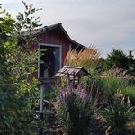 Linda Dibble - @ldibs610 - Instagram