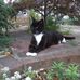 Linda Diffey - Facebook