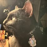 Linda Diffey - @lindamycin67 - Instagram