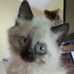 Lynda Diffey - Facebook