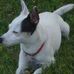 Linda Dingman - Facebook