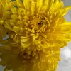 Linda Doi - @linda.thebestgrandma - TikTok
