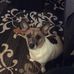 Linda Duskey - Facebook